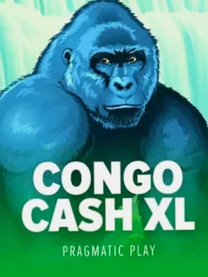 Congo Cash XL at Sydspin